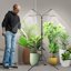 SANSI 40W Full Spectrum LED Grow Lights for Indoor Plants, 4 Head Dimmable Tripod Stand Plant Light with Auto Timer and Adjustable Height 35"-65" 8