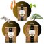 GebEarth Sfagno Cileno in Fibre - Substrato Naturale per Orchidee, Bonsai e Piante Carnivore - 150g 6