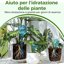 Bamworld Set 10 Pezzi Ampolle per Irrigazione Automatica Piante - Sistema a Goccia per Vasi Interni ed Esterni, Ideale per Vacanze e Giardino 4