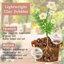 Legigo 8 LB Organic Leca Clay Pebbles, 4mm-16mm Natural Hydroton for Hydroponics, Aquaponics, Orchids and Indoor Plants 3