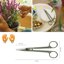 Fiskars Urban Plant Care Cesoie per Piante con Supporto, Taglio di Precisione per Piante da Interno, Acciaio Inossidabile, 17 cm 2