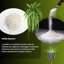 GebEarth Perlite Espansa per Piante in Vaso 5L - Granulometria 2-6 mm - Migliora Drenaggio e Aerazione - Ideale per Piante Grasse, Orchidee e Carnivore 5