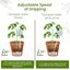 PlanKKers Iridescent Glass Self Watering Globes - Large Rainbow Plant Watering Bulbs for Indoor Plants (6 Pack) 5