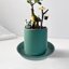 Bleuhome 6 Pack Plant Saucer Trays - Heavy Duty Plastic Round Drip Trays for Indoor and Outdoor Flower Pots 4