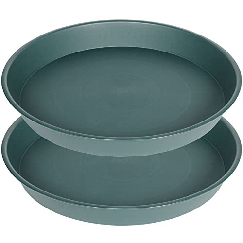 Bleuhome 14" Plant Saucer 2-Pack Green