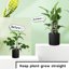 SupKing 16Pcs Adjustable Plant Stakes - Fiberglass Support Poles with Clips and Ties for Indoor & Outdoor Garden 7