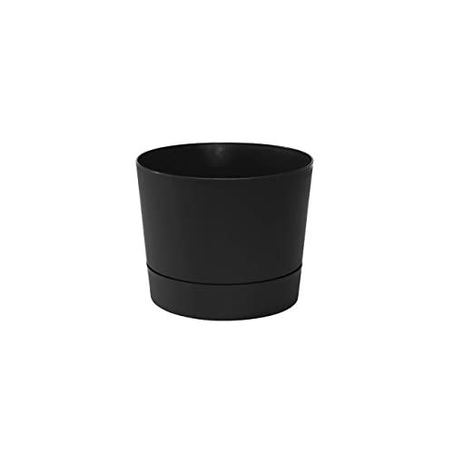 Root & Vessel Majestic Low Profile Black 6.5"