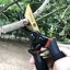 Gonicc 8" Professional Premium Titanium Bypass Pruning Shears GPPS-1003 - Heavy Duty SK-5 Steel Garden Clippers 7