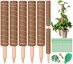 5 Pezzi Palo per Fibra di Cocco per Piante, Supporto Estendibile fino a 160 cm per Monstera e Piante Rampicanti, Bastone Muschiato Naturale per Casa e Giardino 1