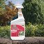 Bonide Captain Jack's Insecticidal Super Soap 32 oz Ready-to-Use Spray - Organic Pest Control for Gardens, Lawns, and Outdoor Plants 2