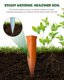 PlanKKers Terracotta Self Watering Spikes - Set of 2 Vacation Plant Watering Devices 3