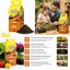 Vigorplant Terriccio per Semina 25L - Substrato Superfine con Torba Irlandese e Baltica - Ideale per Germogliazione Ortaggi e Fiori - Drenante e Concimato Organicamente 3