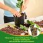 Legigo 2 Quarts Organic Orchid Potting Bark - All Natural Pine Bark Wood Chips for Houseplant Mulch and Root Development 7