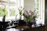 Elho Green Basics Orchid Saucer 14cm - Sottovaso per Orchidee Trasparente 3