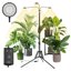 SANSI 30W Full Spectrum LED Grow Lights for Indoor Plants with Adjustable Tripod Stand and Auto Timer 1