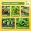 Solabiol Lumachicida Biologico 1kg - Esca in Granuli a base di Fosfato Ferrico - Elimina Lumache e Chiocciole - Resistente all'Acqua 6