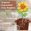 Riare 4 LBS Organic Expanded Clay Pebbles - 4mm-16mm Natural LECA Balls for Hydroponics, Aquaponics, and Plant Drainage 3