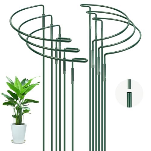 OFFCUP Supporto Piante ad Anello 25x40cm (6 Pezzi)