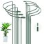 OFFCUP Set di 6 Pali di Supporto per Piante ad Anello in Metallo, 25x40 cm - Supporti Anticorrosione per Pomodori, Peonie e Fiori 1