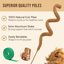 Craft911 Bendable Moss Pole for Monstera and Climbing Plants - 48 Inch Coco Coir Plant Support Stake 2