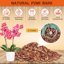 Legigo 10 Quarts Organic Orchid Potting Bark - All Natural Pine Bark Wood Chips for Houseplant Mulch and Root Development 2