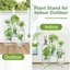 iDavosic.ly 6-Tier Corner Plant Stand, Metal Indoor Outdoor Flower Display Shelf, Folding Tall Wrought Iron Orchid Rack for Patio Balcony Porch Garden and Living Room - Light Green 6