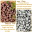 Legigo 10 LB Organic Leca Clay Pebbles - 4mm-16mm Natural Hydroton for Hydroponics, Aquaponics, Orchids and Indoor Plants 5