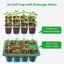 Bonviee 5-Pack Seed Starter Trays Kit with Adjustable Humidity Domes and Plant Labels - Indoor Mini Greenhouse Propagator for Large Seeds 7