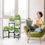 iDavosic.ly Multi-Tier Corner Plant Stand, Metal Indoor Outdoor Flower Display Shelf, Folding Tall Wrought Iron Orchid Rack for Patio Balcony Garden and Living Room 7