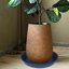 Bleuhome 4 Pack 14 Inch Plastic Plant Saucers and Bird Bath Bowls - Round Heavy Duty Drainage Trays for Indoor & Outdoor Flower Pots 5