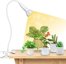 SANSI LED Grow Lights for Indoor Plants - Full Spectrum Clip-on Gooseneck with Ceramic Technology 1