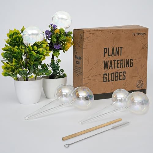 PlanKKers Iridescent Glass Globes Medium 6-Pack