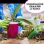 ZOMAGARDEN Bark per Orchidee Premium - Corteccia Naturale Lavata e Sterilizzata - 2L (15/20mm) 3