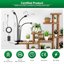 SANSI Lampada LED per Piante da Interno 40W Spettro Completo con 4 Clip a Collo di Cigno e Timer 6