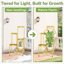 iDavosic.ly 5-Tier Corner Plant Stand, Metal Indoor Outdoor Flower Display Shelf, Folding Tall Orchid Rack for Patio Balcony and Garden, Gold 7