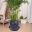 Bleuhome 3 Pack Large Deep Plant Saucers - 26 Inch Heavy Duty Plastic Flower Pot Drip Trays for Indoor and Outdoor Use 4