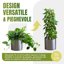 Mcbazel Set 2 Pezzi di Pali in Fibra di Cocco da 70 cm per Piante Rampicanti, Supporto Flessibile con Nucleo in Alluminio e Kit Legacci per Monstera e Pothos 3