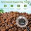 Riare 16 LBS Organic Expanded Clay Pebbles - 4mm-16mm Natural LECA Balls for Hydroponics, Aquaponics, and Plant Drainage 2