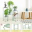 iDavosic.ly 6-Tier Corner Plant Stand, Metal Indoor Outdoor Flower Display Shelf, Folding Tall Wrought Iron Orchid Rack for Patio Balcony Porch Garden and Living Room - Light Green 4