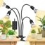 SANSI Lampada LED per Piante da Interno 40W Spettro Completo con 4 Clip a Collo di Cigno e Timer 1