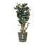 Elho Greenville Round 55 Vaso con serbatoio idrico integrato per Interno/esterno, Plastica Riciclata 100% - Verde/Leaf Green 8