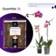 GebEarth Bark per Orchidee Professionale - Corteccia di Pino Naturale 10-15 mm - 3 Litri 5