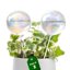 Bamworld Sfere di Irrigazione in Vetro Iridescente - Set da 2 Pezzi per Piante da Interno ed Esterno, Sistema di Auto-irrigazione Automatico per Vacanze 1