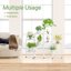 iDavosic.ly 9-Tier Corner Plant Stand, Metal Indoor Outdoor Flower Display Shelf, Folding Tall Wrought Iron Orchid Rack for Patio Balcony Porch Garden Living Room - White 5