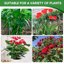 HiGift 6 Pack Adjustable Plant Support Stakes, Heavy-Duty 32 Inch Half Round Peony Support Cage with Extension Tubes for Tomato, Hydrangea and Garden Plants 6