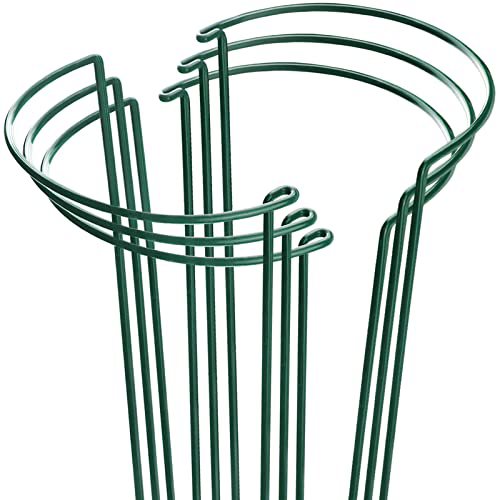 HiGift 6pk Metal Peony Cages 10x15.8"