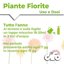 CIFO Concime Liquido Piante Fiorite 1L - Fertilizzante per Fiori in Casa, Terrazzo e Balcone - Stimola Fioritura Abbondante e Colori Brillanti - Made in Italy 4