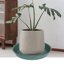 Bleuhome 4 Pack Large Deep Plant Saucers - 19 Inch Heavy Duty Plastic Drip Trays for Flower Pots and Bird Baths 5