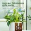 Bamworld Sfere di Irrigazione in Vetro Iridescente - Set da 2 Pezzi per Piante da Interno ed Esterno, Sistema di Auto-irrigazione Automatico per Vacanze 4
