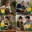 Vigorplant Terriccio Bonsai 5L - Substrato Professionale per Conifere e Latifoglie con Pomice Vulcanica e Argilla - Drenante e Aerato per Rinvaso e Salute Radicale 5